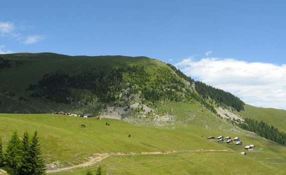 Monte Osternig