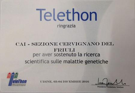Telethon attestato 2016